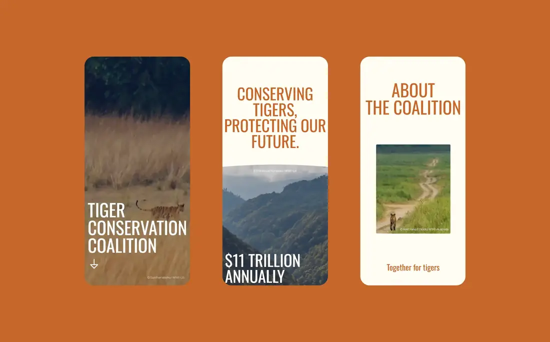 Brand panels from the Tiger Conservation Coalition identity