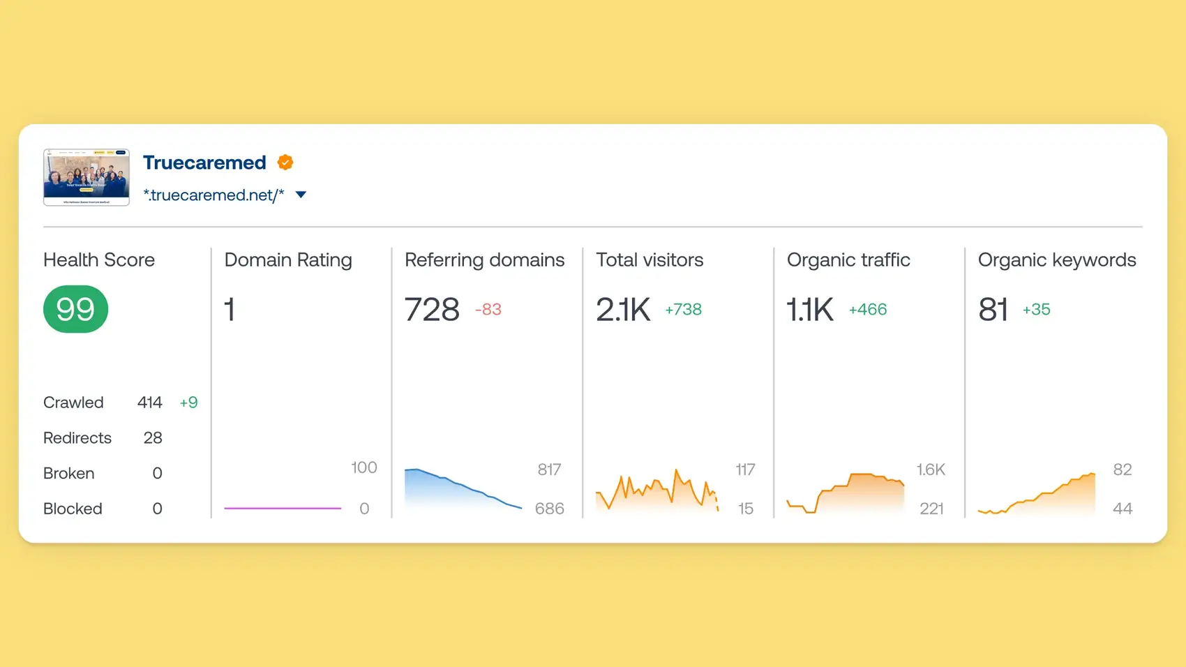 Sức khoẻ website, tên miền trỏ về và traffic tự nhiên của TrueCare Medical