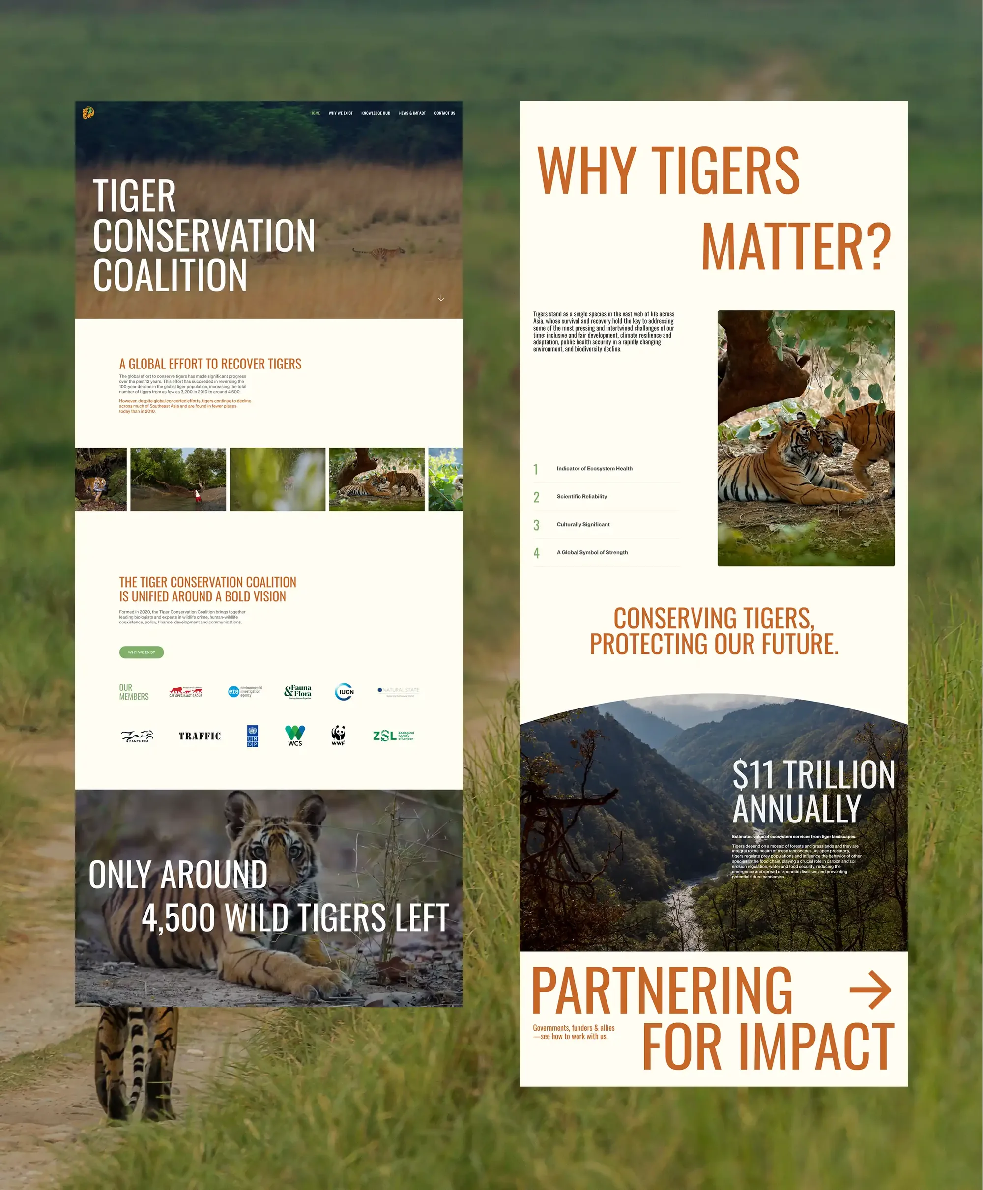 Tiger Conservation Coalition, 07