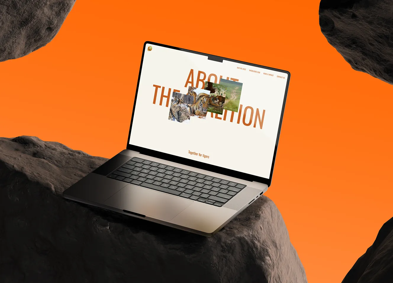 Tiger Conservation Coalition